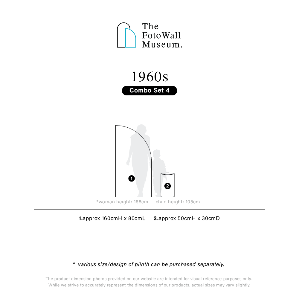 1960s-panel info-05