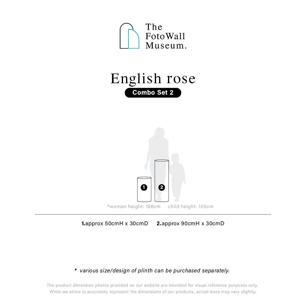 english rose-panel info-03