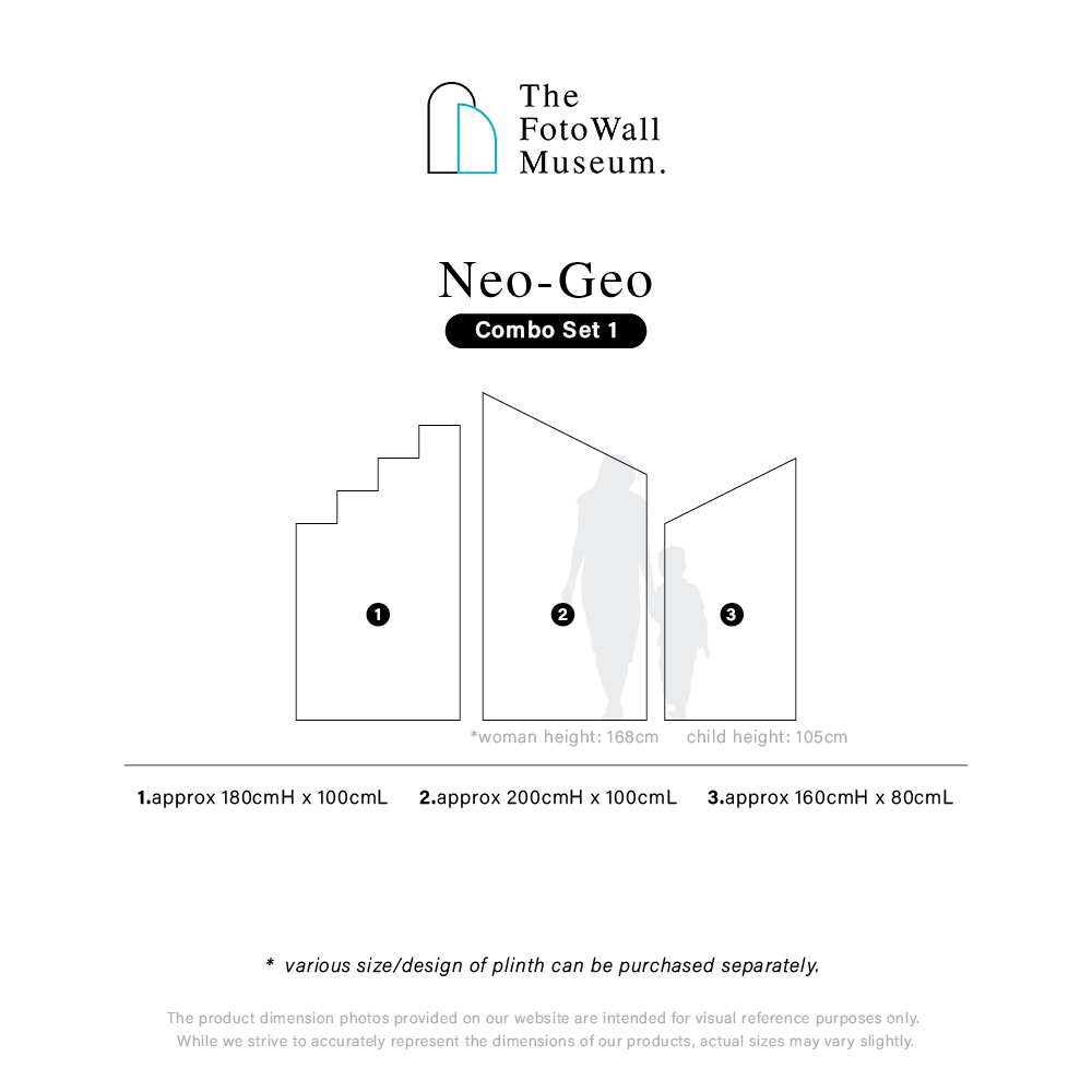 neo-geo-panel info-02