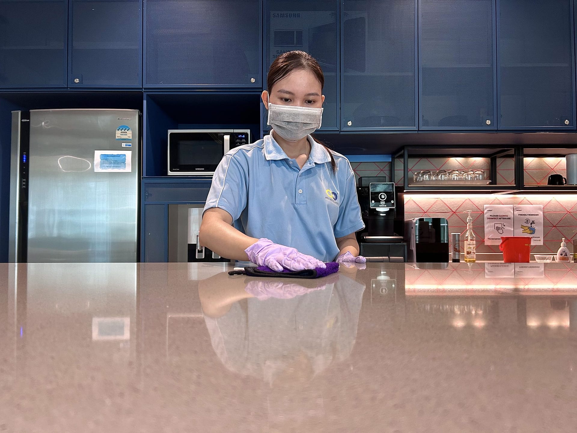 professional cleaning service