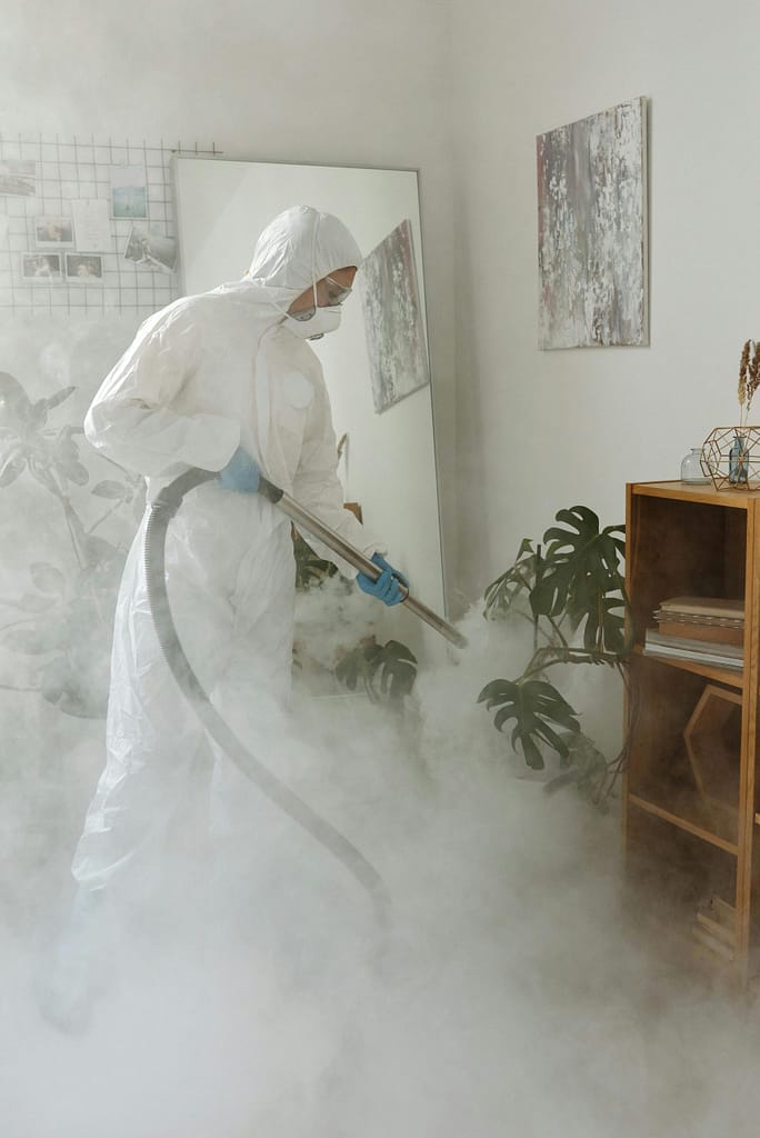A Woman Disinfecting Indoor Plants scaled